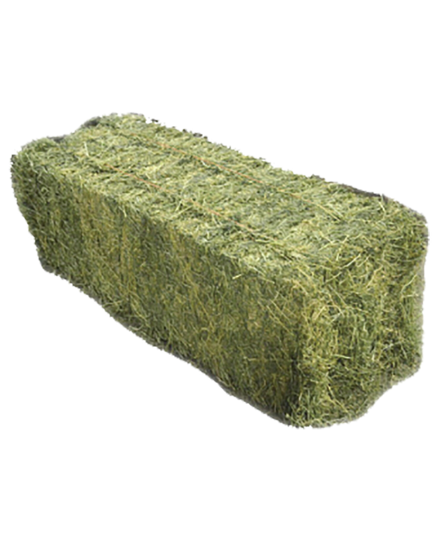 Orchard-Alfalfa-Mix-Grass-Hay-Bale.jpg