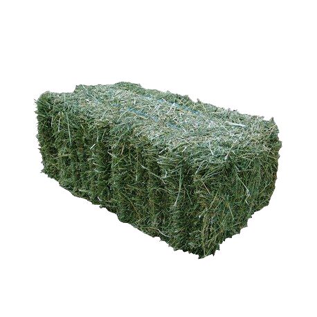 Orchard Hay Bale.png