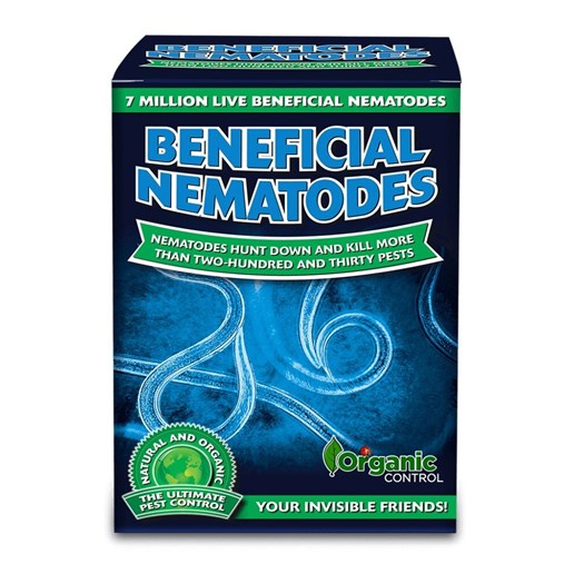 Live Beneficial Nematodes
