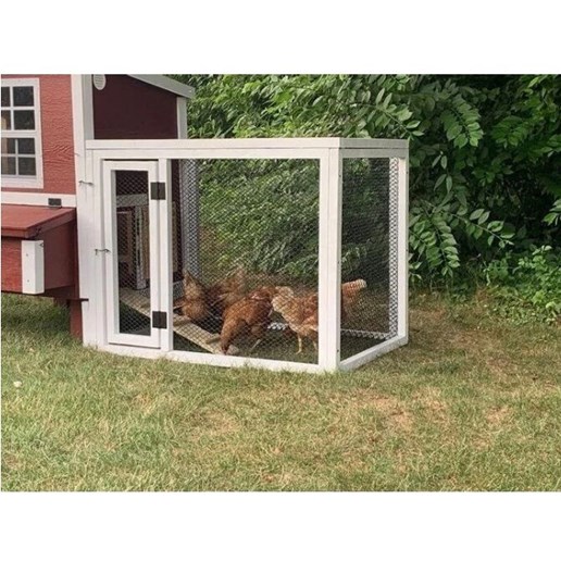 American Model Coop in a Box, 5 Chickens