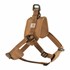 Training Harness in Brown, Small