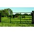 4-Ft x 52-In Heavy Duty Classic Gate with Lever Latch