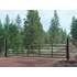10-Ft x 52-In Heavy Duty Classic Gate with Lever Latch
