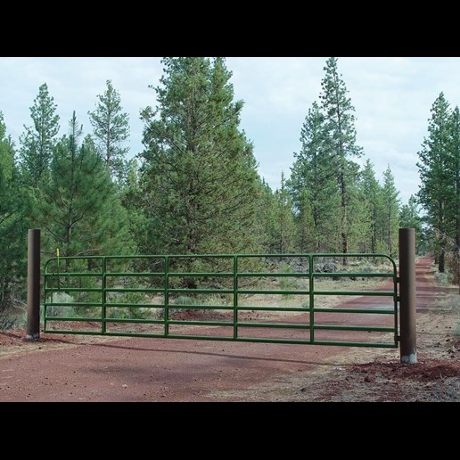 16-Ft x 52-In Heavy Duty Classic Gate with Lever Latch