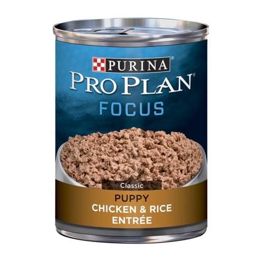 Purina Pro Plan FOCUS Chicken & Rice Entrée Puppy Wet Dog Food, 13-Oz Can