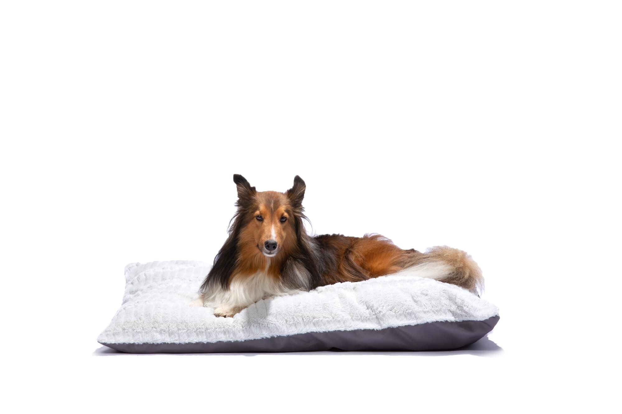 Stay Henry Pillowbed Assortment, 27-In x 36-In