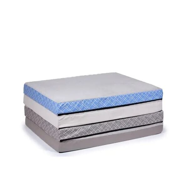 Stay Odie Orthopedic Pet Bed Assorted Colors, 30-In x 40-In x 4-In