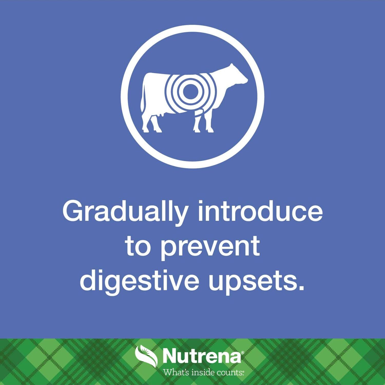 Nutrena NutreBeef Starter Creep Feed, 50-Lb