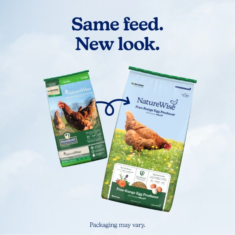Nutrena NatureWise Free-Range Egg Producer 21% Protein Pellet, 50-Lb