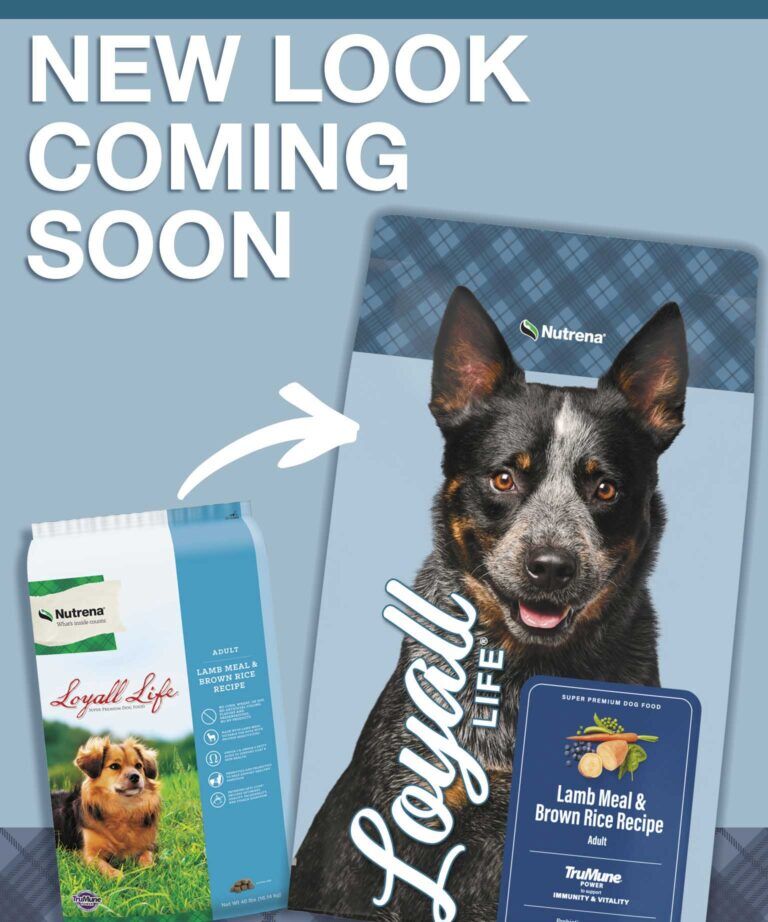 Nutrena Loyall Life Adult Lamb Meal & Brown Rice Recipe Dog Food, 6-Lb