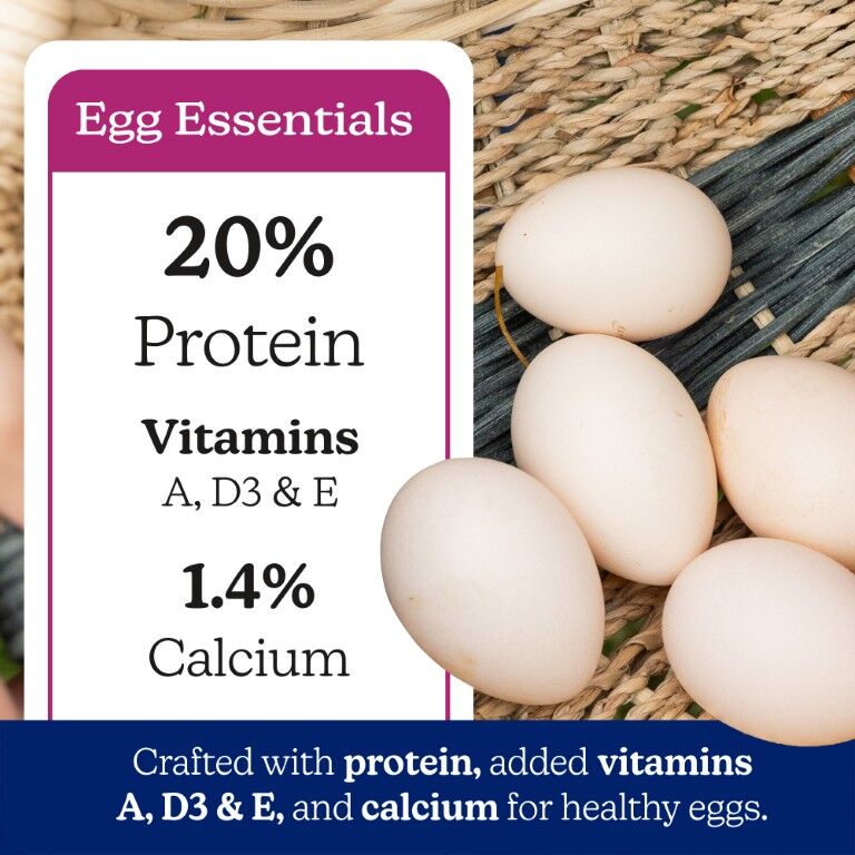 Nutrena NatureWise All Flock 20% Protein Crumble, 40-Lb