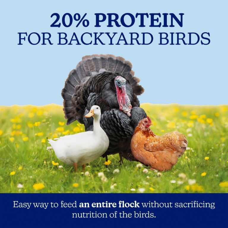 Nutrena NatureWise All Flock 20% Protein Crumble, 40-Lb