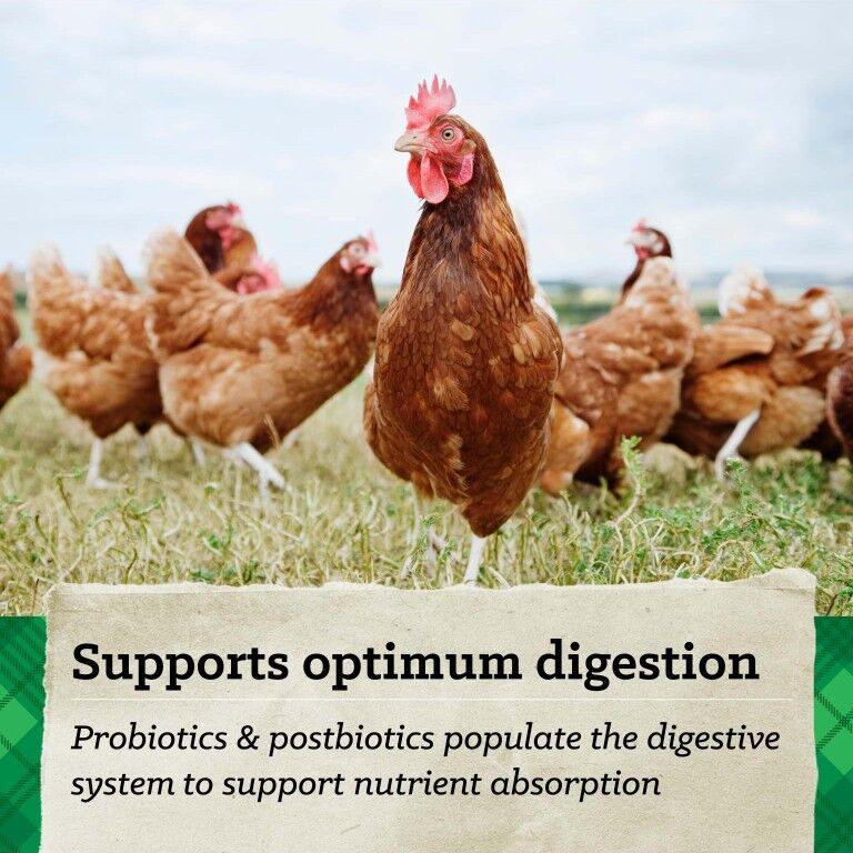 Nutrena Hi Pro Scratch Grains, 50-Lb