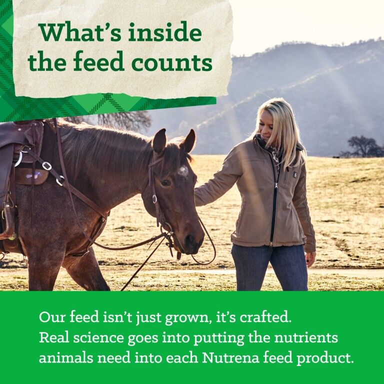 Nutrena Triumph 12-8 Horse Pellet, 50-Lb