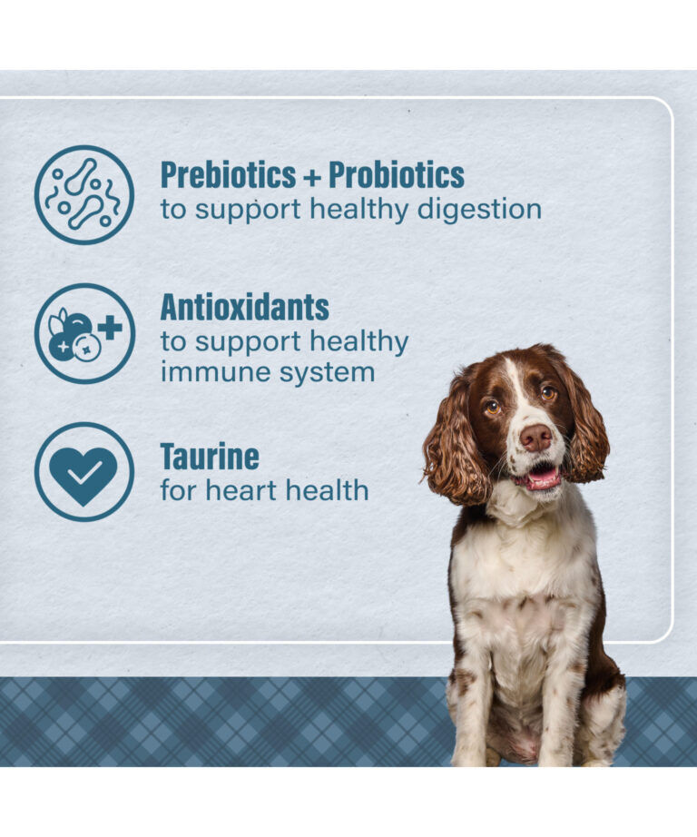 Nutrena Loyall Life Advanced Solutions Sensitive Skin & Coat Salmon & Oatmeal Dog Food, 6-Lb