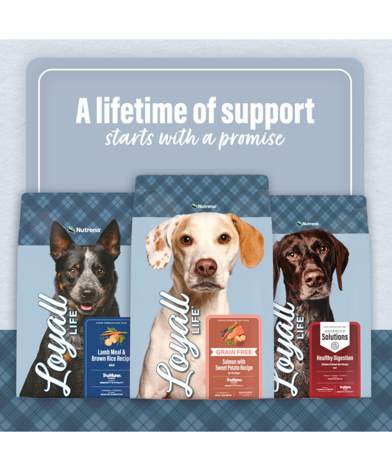 Nutrena Loyall Life Advanced Solutions Sensitive Skin & Coat Salmon & Oatmeal Dog Food, 6-Lb