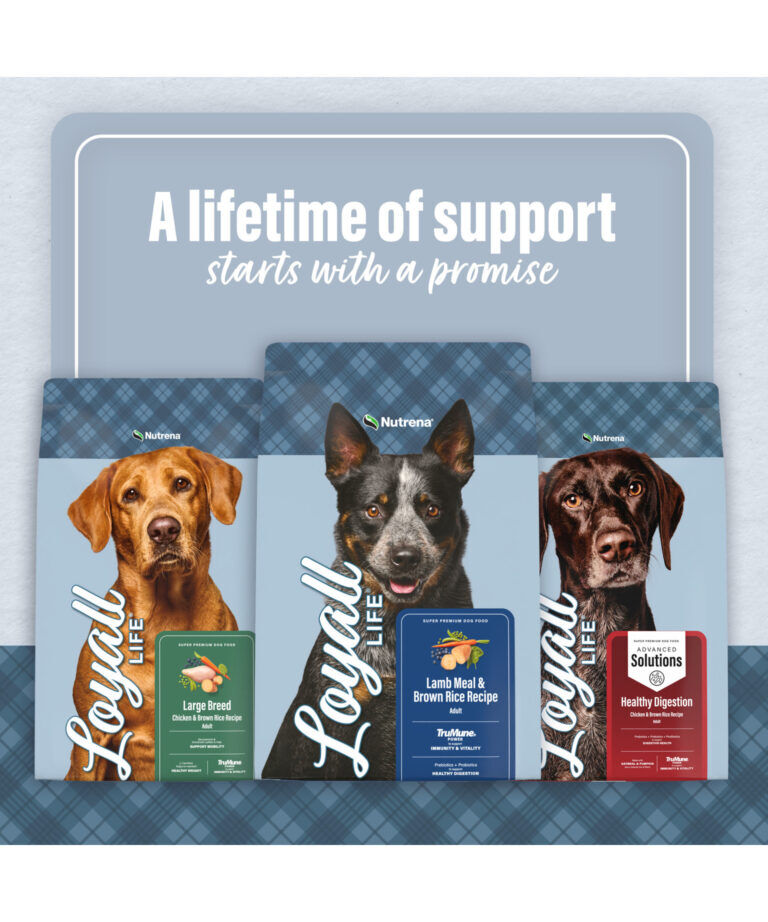 Nutrena Loyall Life Chicken & Brown Rice Dog Food, 6-Lb