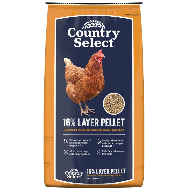 Country Select 16% Layer Pellet, 40-Lb