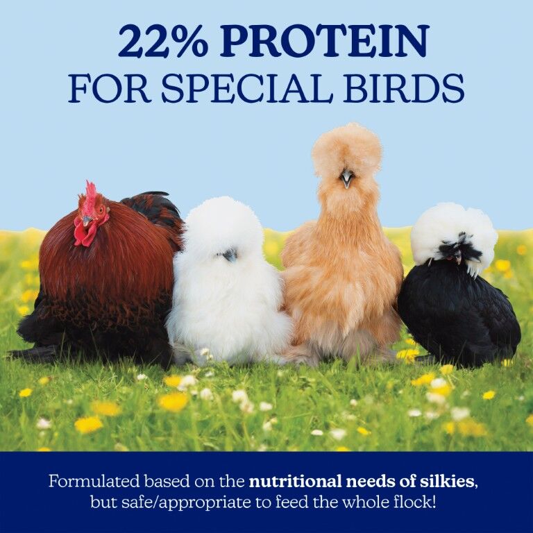 Nutrena NatureWise Silkie and Ornamental Layer Feed, 30-Lb