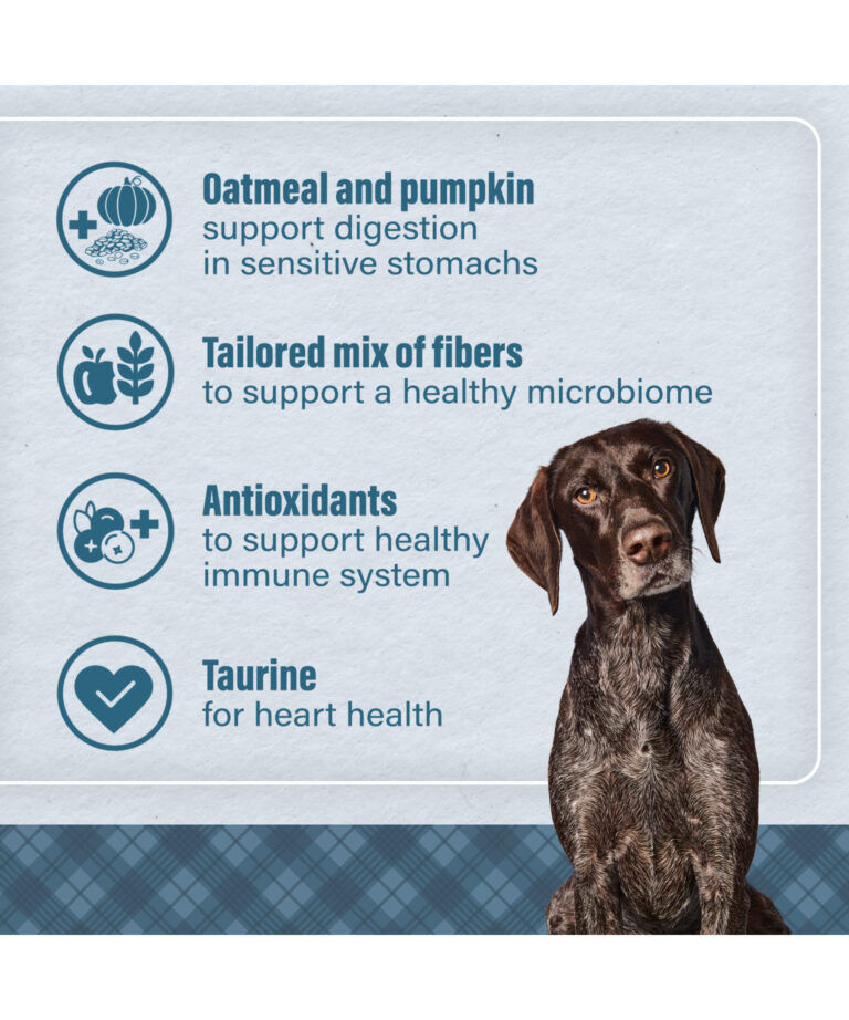 Nutrena Loyall Life Advanced Solutions Healthy Digestion Chicken & Brown Rice Dog Food, 30-Lb