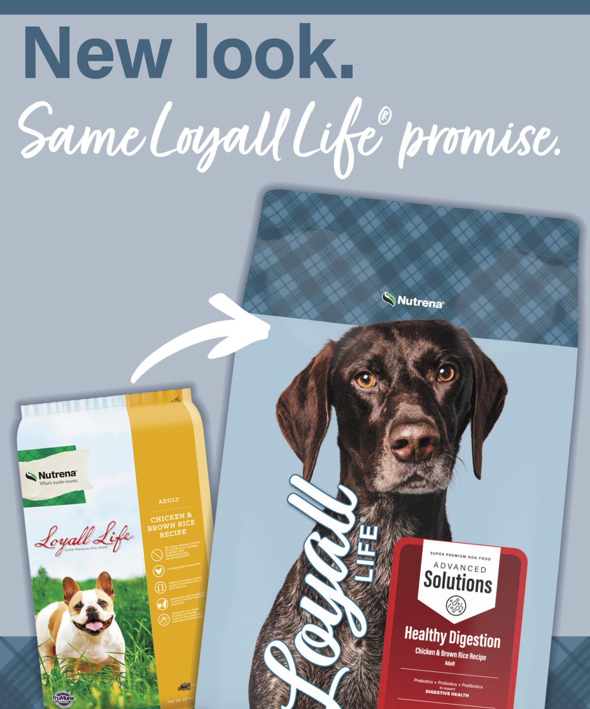 Nutrena Loyall Life Advanced Solutions Healthy Digestion Chicken & Brown Rice Dog Food, 6-Lb