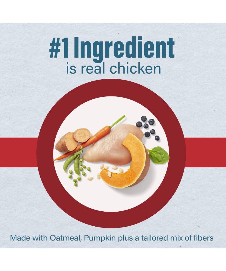 Nutrena Loyall Life Advanced Solutions Healthy Digestion Chicken & Brown Rice Dog Food, 6-Lb