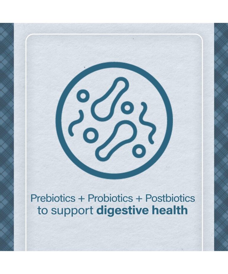 Nutrena Loyall Life Advanced Solutions Healthy Digestion Chicken & Brown Rice Dog Food, 6-Lb