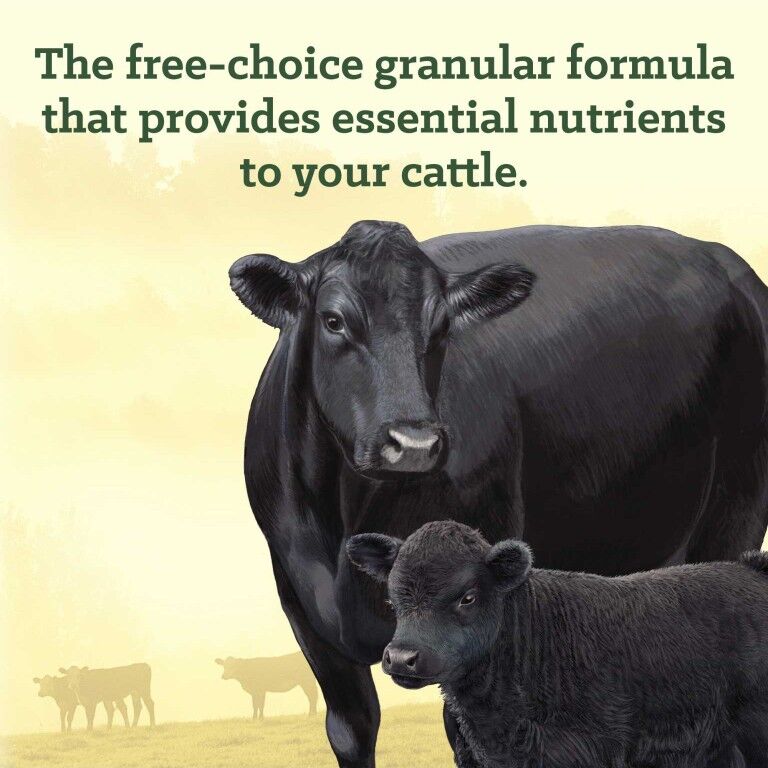 Nutrena NutreBeef Cattle Mineral, 50-Lb