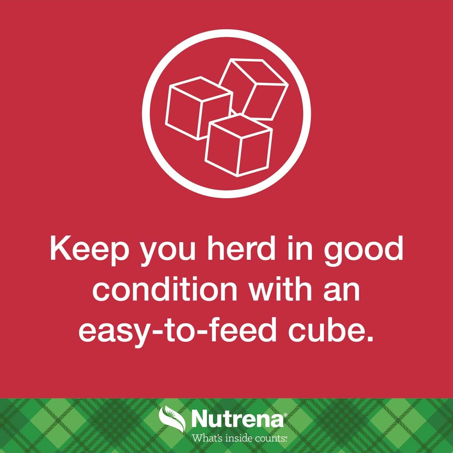 Nutrena NutreBeef Cubes, 50-Lb