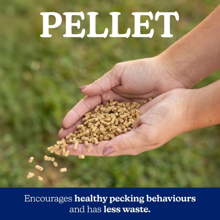 Nutrena NatureWise Layer 17% Protein Pellet, 40-Lb