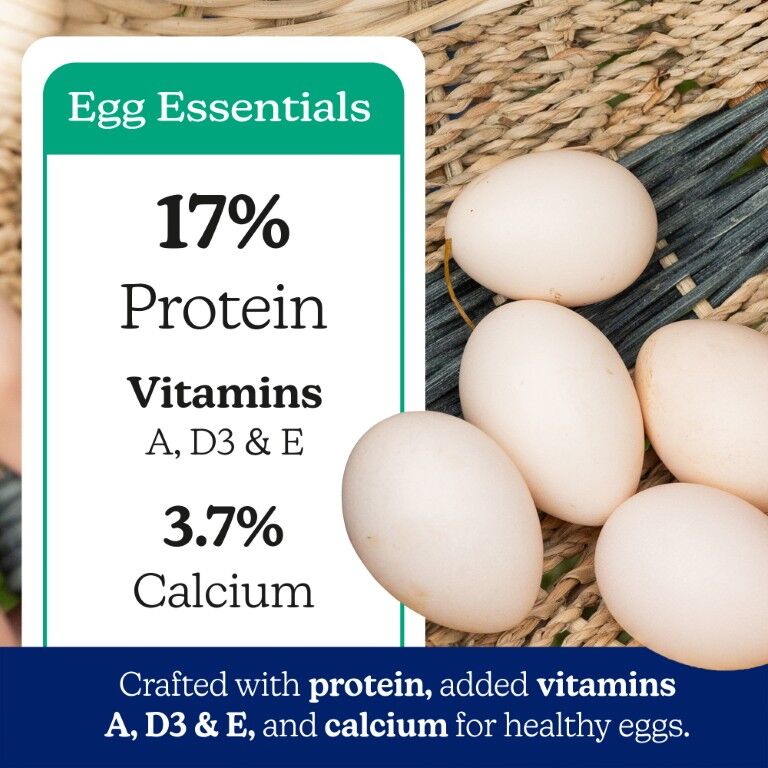 Nutrena NatureWise Layer 17% Protein Pellet, 40-Lb