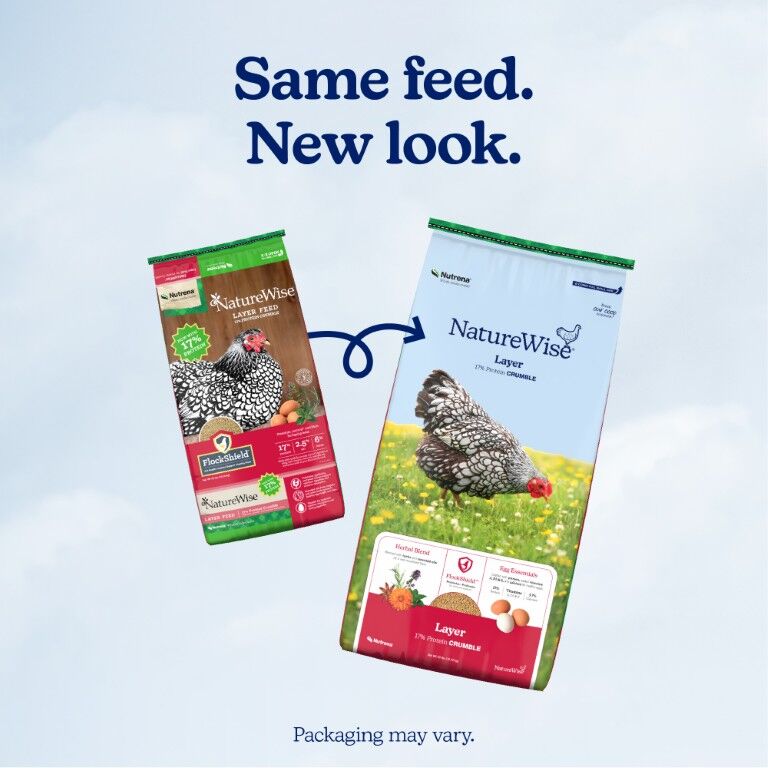 Nutrena NatureWise Layer 17% Protein Crumble, 40-Lb