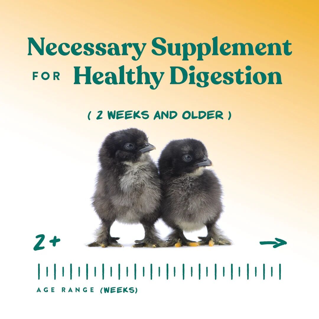 Manna Pro Chick Grit With Probiotics, 5-Lb