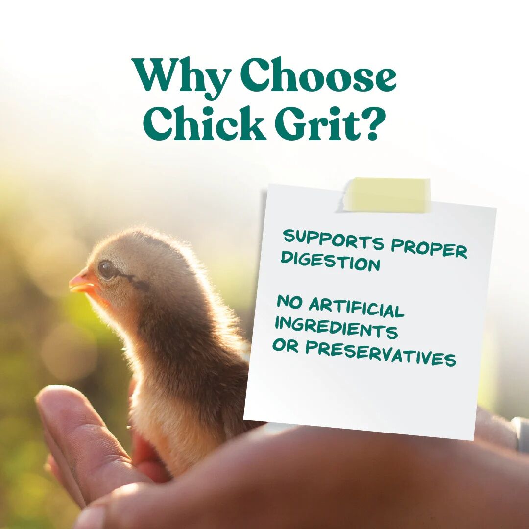 Manna Pro Chick Grit With Probiotics, 5-Lb