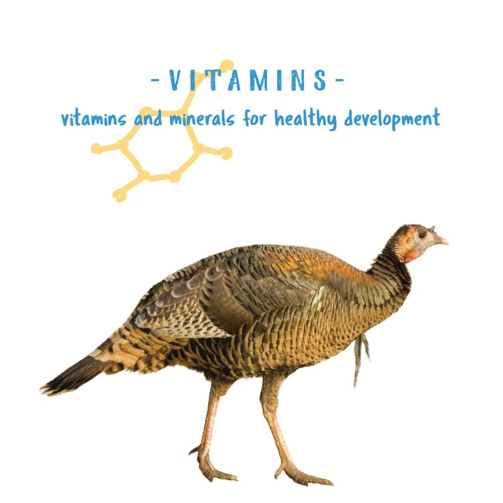 Manna Pro Gamebird & Showbird Starter Grower Crumbles, 5-Lb