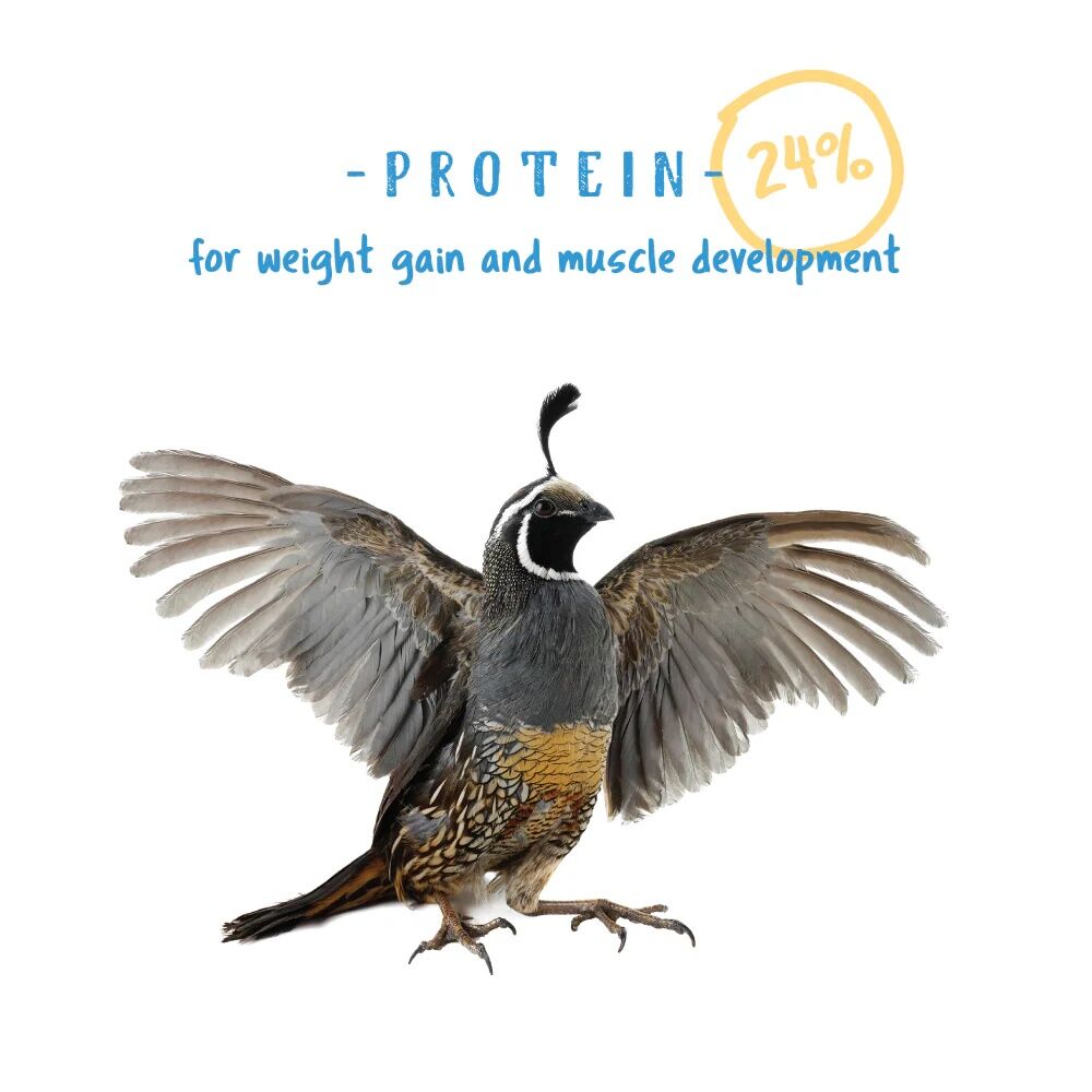 Manna Pro Gamebird & Showbird Starter Grower Crumbles, 5-Lb