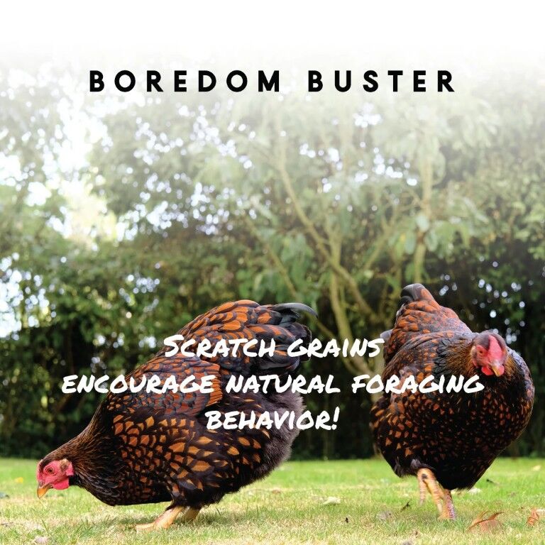 Manna Pro Scratch Grains, 10-Lb