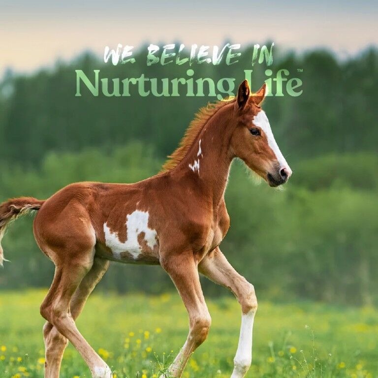 Manna Pro Nurse All Multi-Species Milk Replacer, 8-Lb