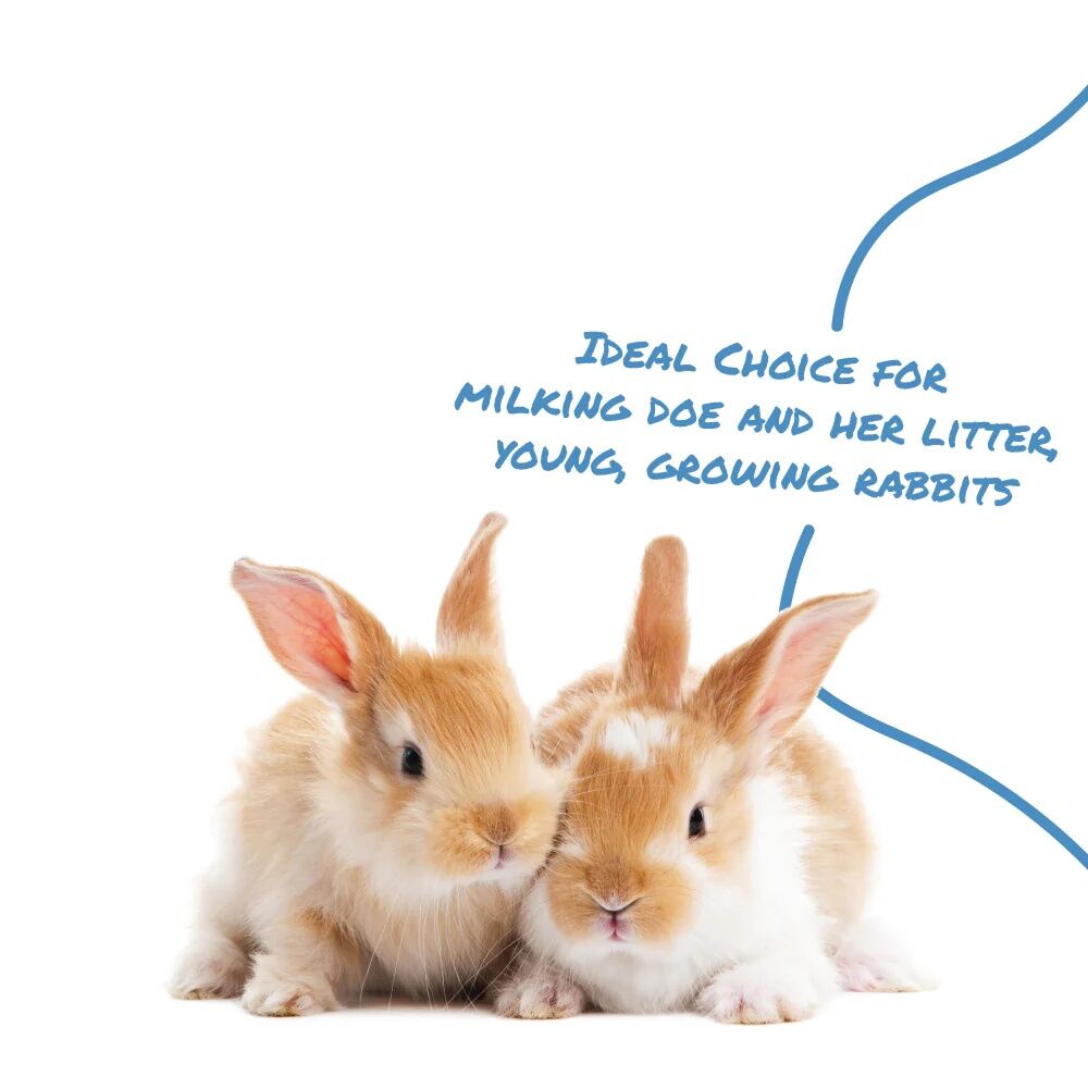 Manna Pro Select Series Sho Formula Rabbit Feed, 50-Lb