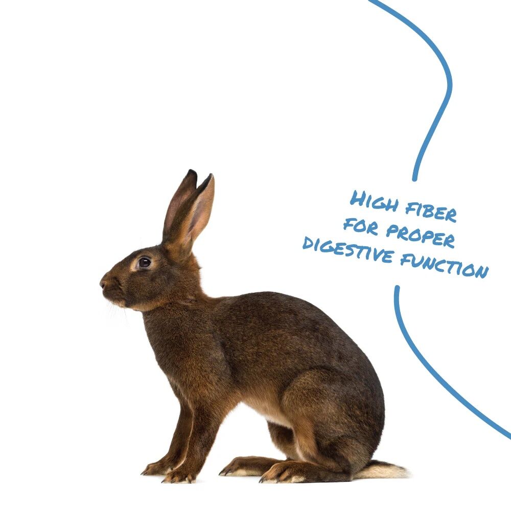 Manna Pro Select Series Sho Formula Rabbit Feed, 50-Lb