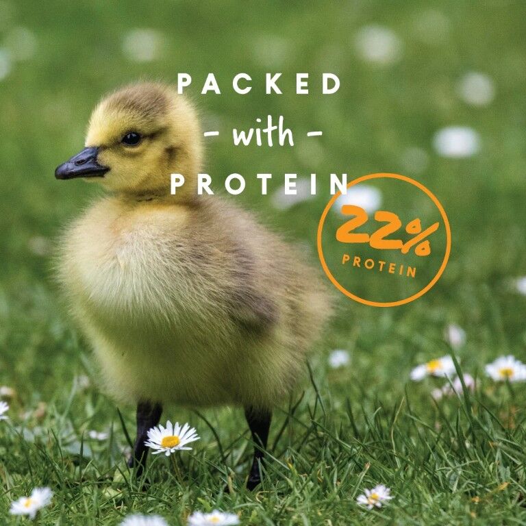 Manna Pro Duckling & Gosling Starter Grower Crumbles, 8-Lb