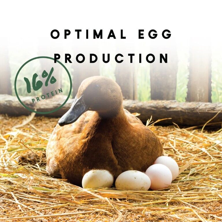 Manna Pro Duck & Goose Layer Pellets, 8-Lb