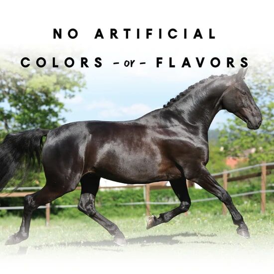 Manna Pro Nutrigood FruitSnax BerryMint & Oats, 2-Lb