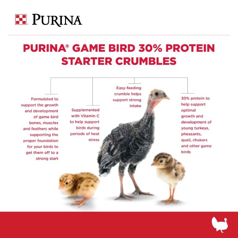 Purina Game Bird 30% Protein Starter Crumbles BMD Medicated, 50-Lb