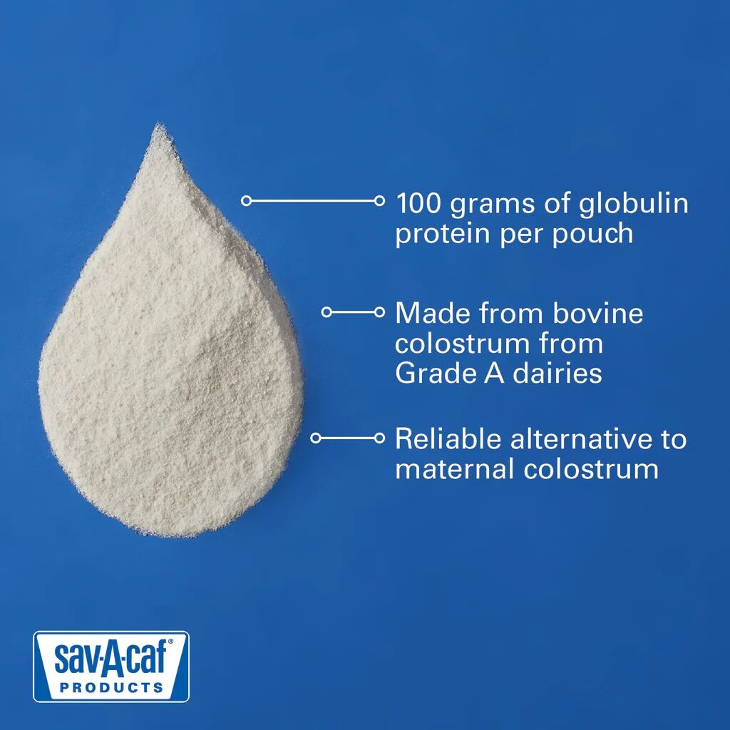 Sav-A-Caf Calf Colostrum Replacer, 12.3-Oz