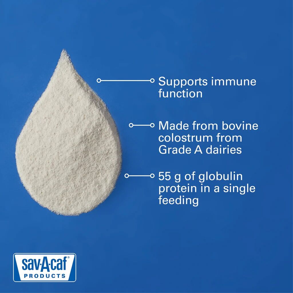 Sav-A-Caf Calf Colostrum Supplement, 16-Oz