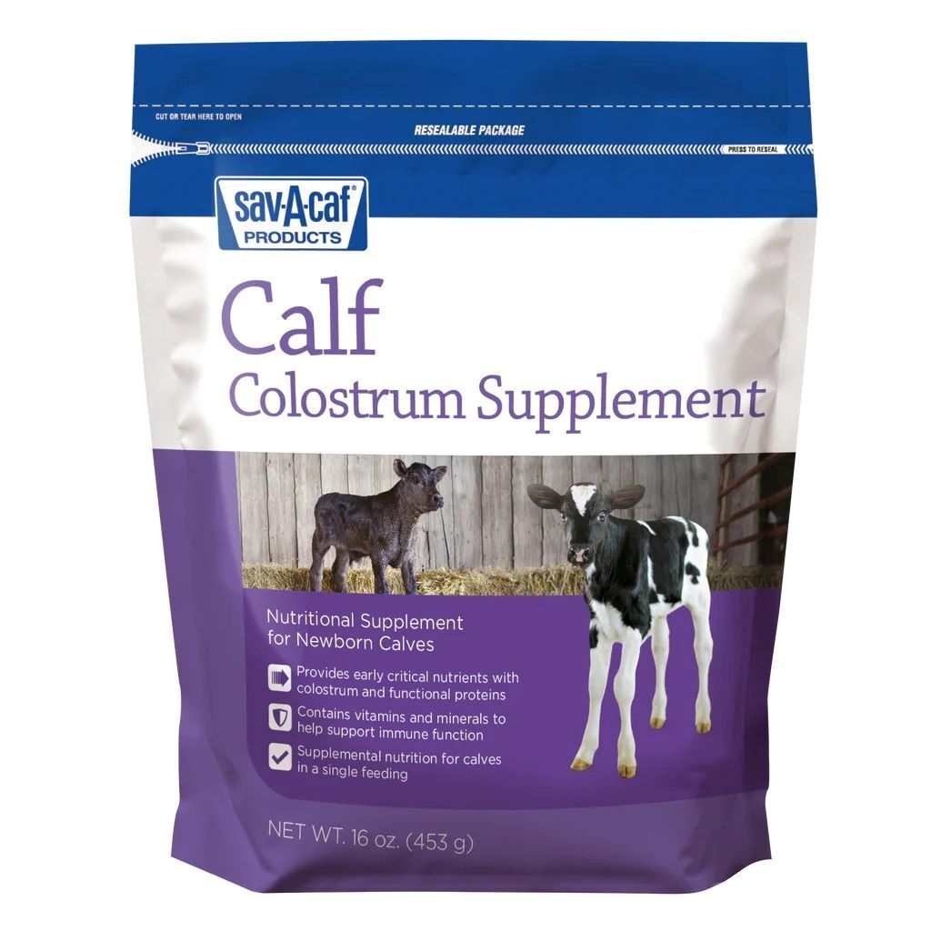 Sav-A-Caf Calf Colostrum Supplement, 16-Oz