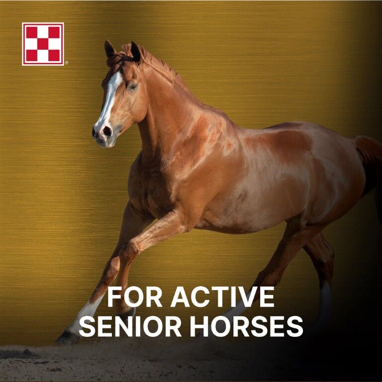 Purina Ultium Senior Horse Feed, 50-Lb