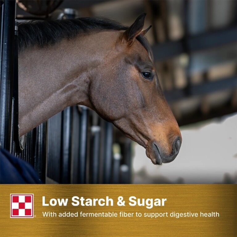 Purina Ultium Senior Horse Feed, 50-Lb