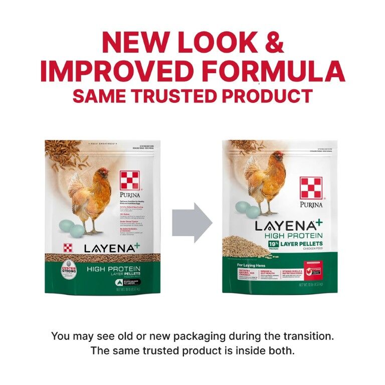 Purina Layena + High Protein 19% Layer Feed, 10-Lb